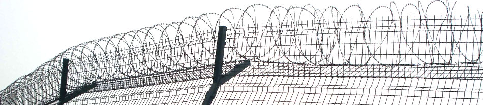 Illegal Immigrants Illegal Immigrants