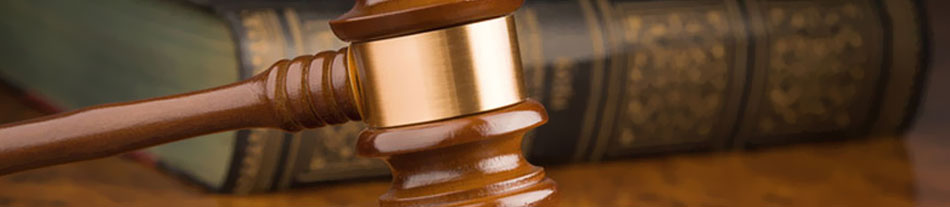 Immigration Appeal